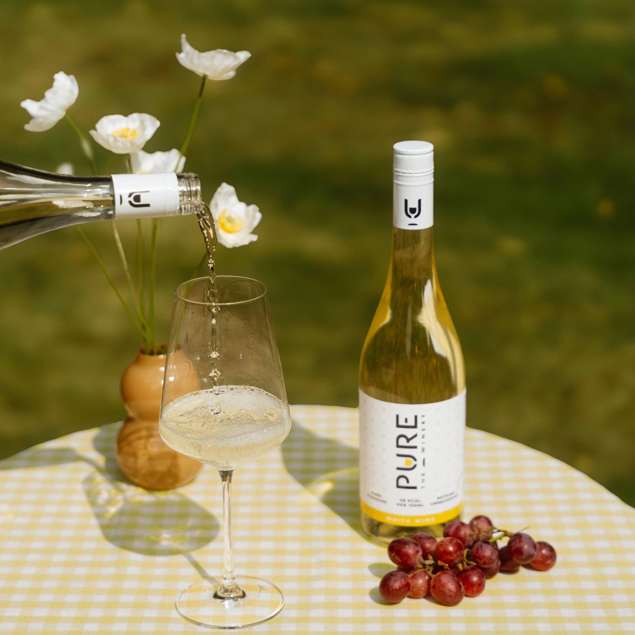 Vin Blanc Zéro Sucre