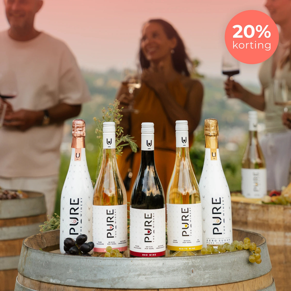 Introductie Aanbieding