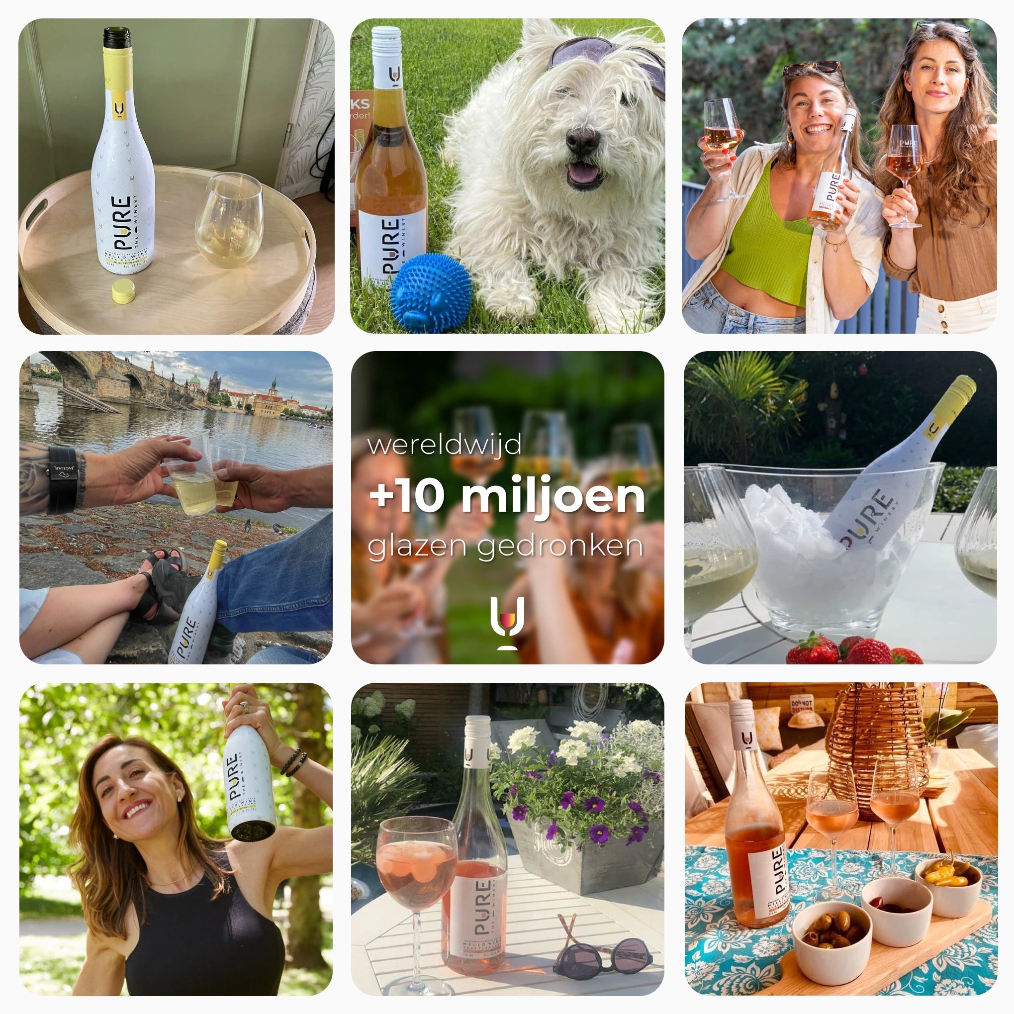 Zomer Aanbieding: Bestseller Pack